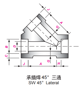 LATERAL SW 45 (2)